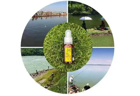 Aromatizador para atrair Peixes - Site compre mais