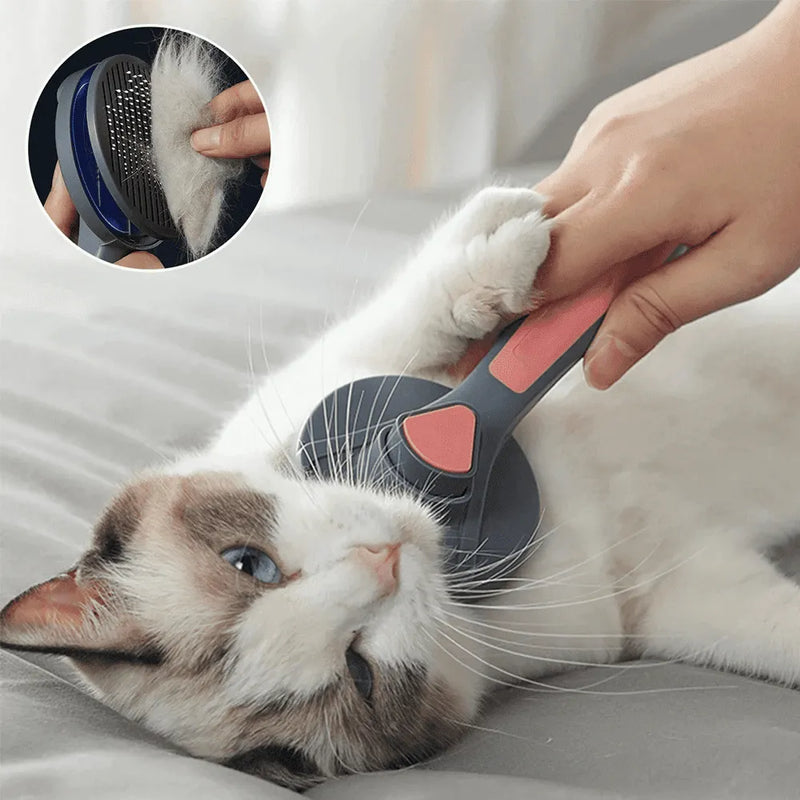 Escova Removedora de Pelos para Pets - Site compre mais