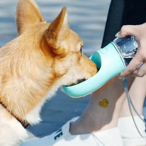 Garrafa Portátil para Pets 4 em 1 - PetWater - Site compre mais