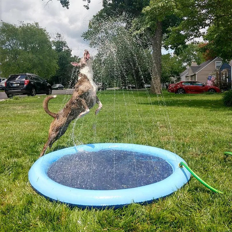 Piscina Inflável para Pets - Site compre mais