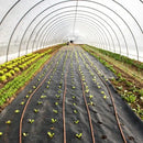 Rafia de Solo para Jardim de Controle de Ervas Daninhas - Site compre mais