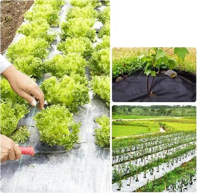 Rafia de Solo para Jardim de Controle de Ervas Daninhas - Site compre mais