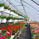 Rafia de Solo para Jardim de Controle de Ervas Daninhas - Site compre mais