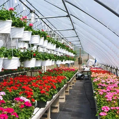 Rafia de Solo para Jardim de Controle de Ervas Daninhas - Site compre mais