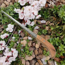 Serra Profissional Para Poda de Árvore - Compre 1 Leve 2 - Site compre mais